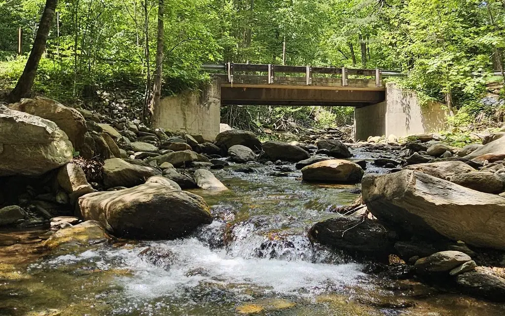 Curtis Creek Campground, a Forest Service campground