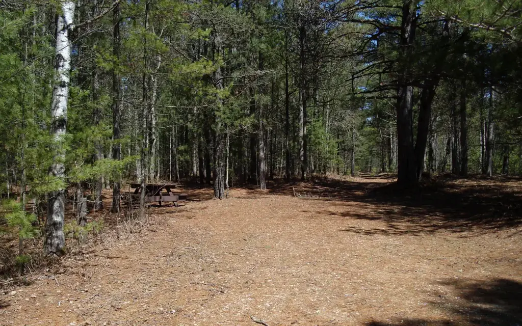 Island Lake, a Forest Service campground