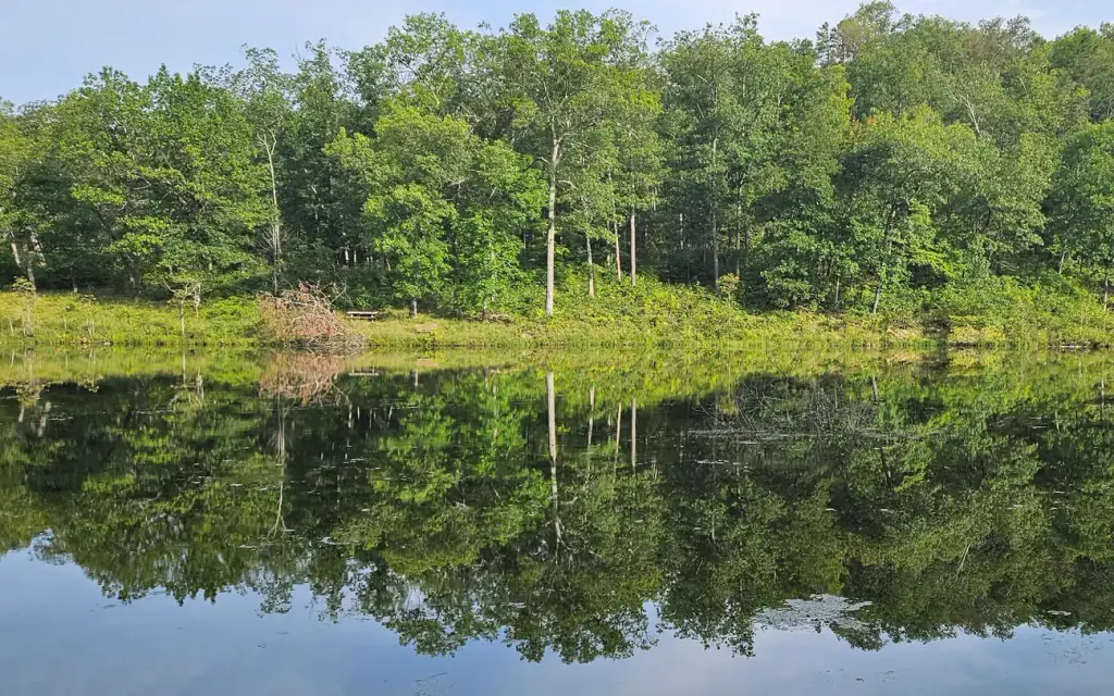 Loggers Lake Campground, a Forest Service campground