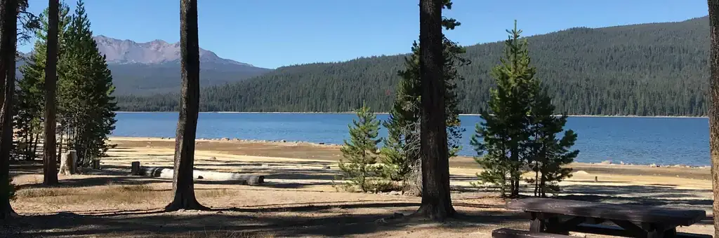 Contorta Flat Campground, a Forest Service campground