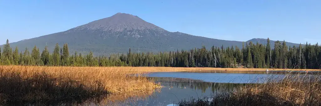 Mallard Marsh Campground, a Forest Service campground