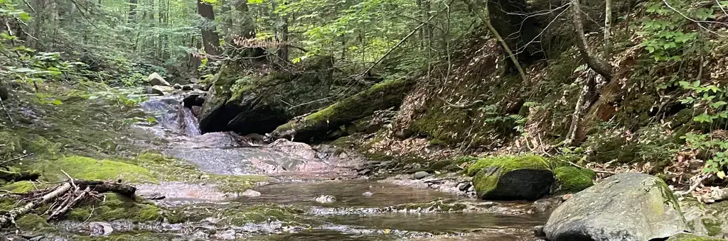 Chittenden Brook Campground, a Forest Service campground