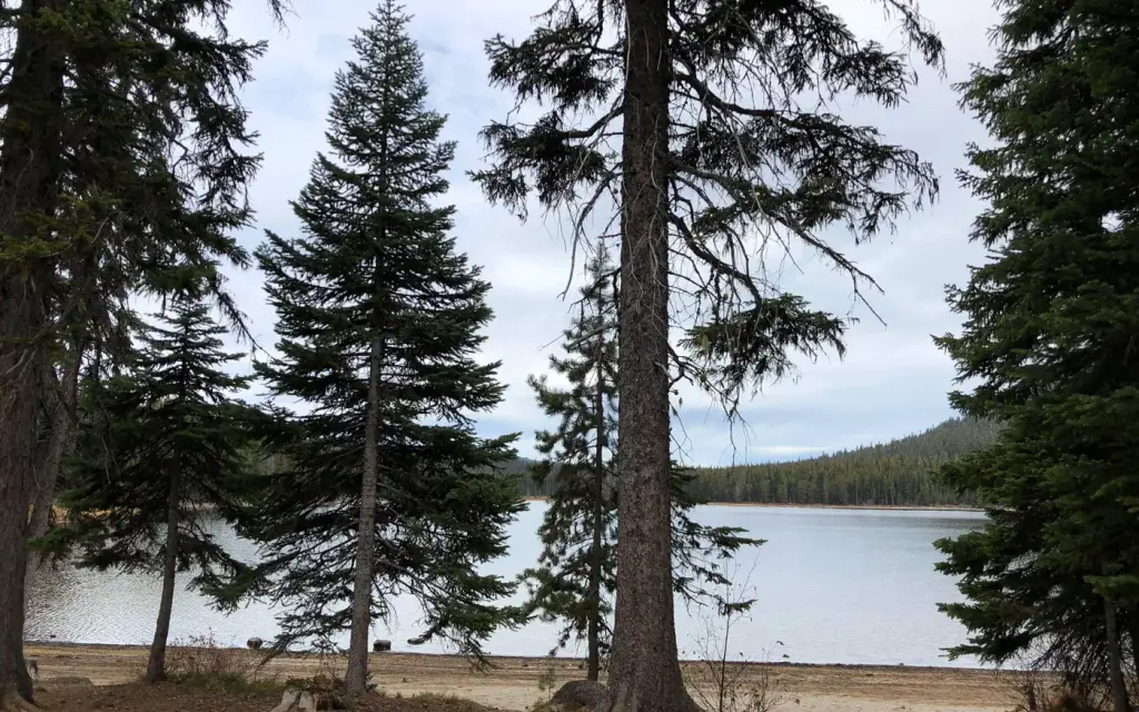 Little Cultus Campground, a Forest Service campground