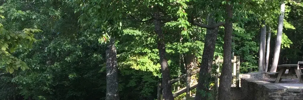 Chilhowee Campground, a Forest Service campground