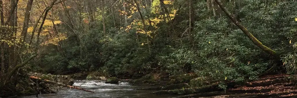 Backbone Rock Campground, a Forest Service campground