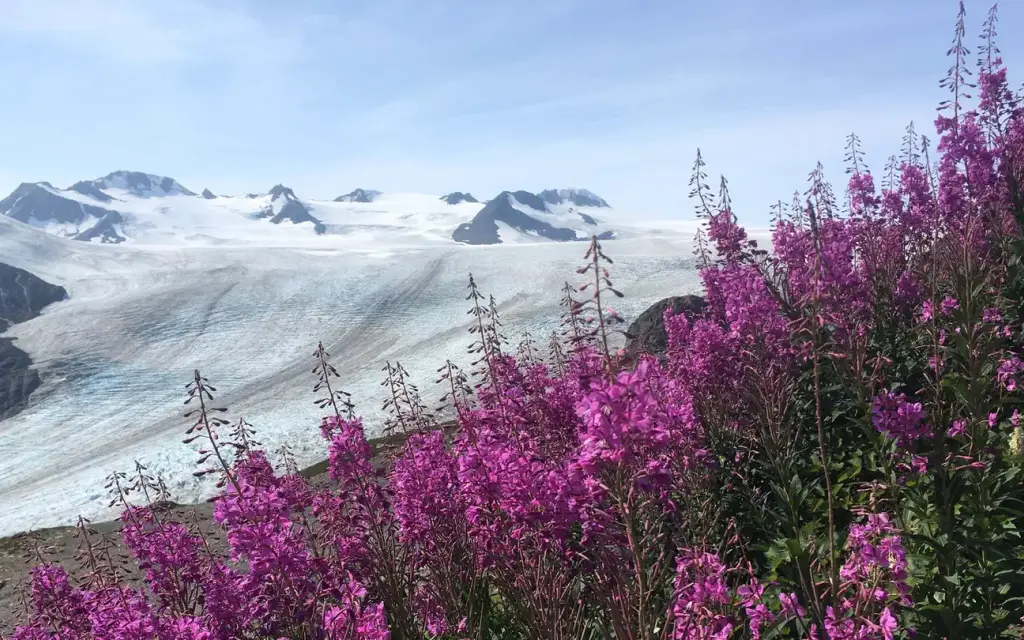 Kenai Fjords National Park Cabins, a National Park Service cabin rental