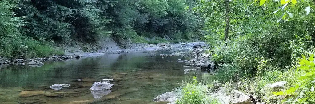 Steel Bridge Campground, a Forest Service group camp