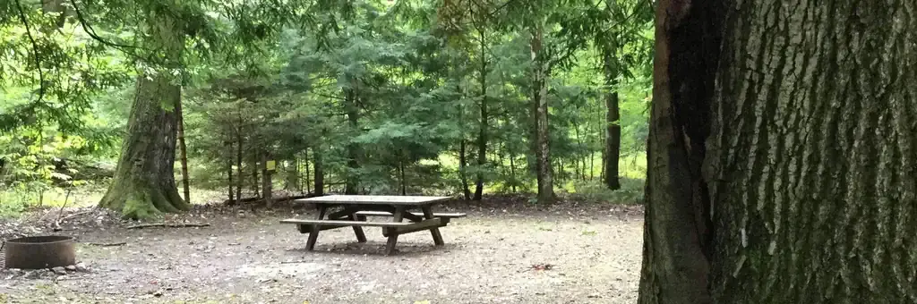 Hearts Content Recreation Area, a Forest Service campground