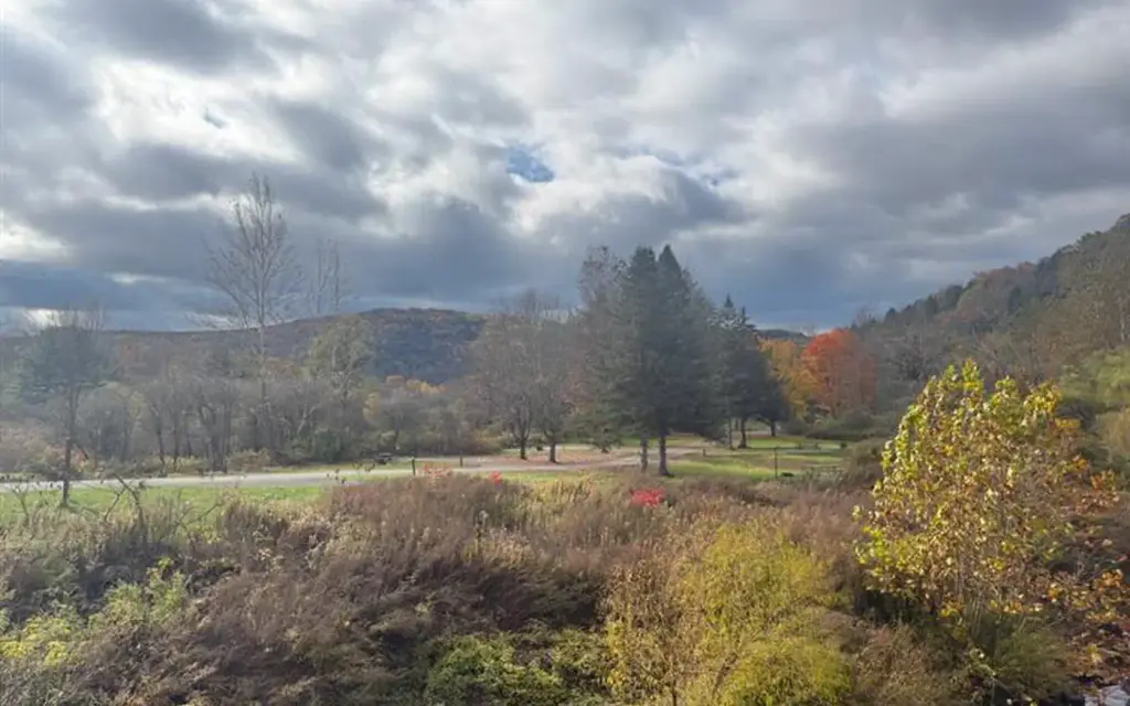 Kellettville Recreation Area, an Army Corps campground