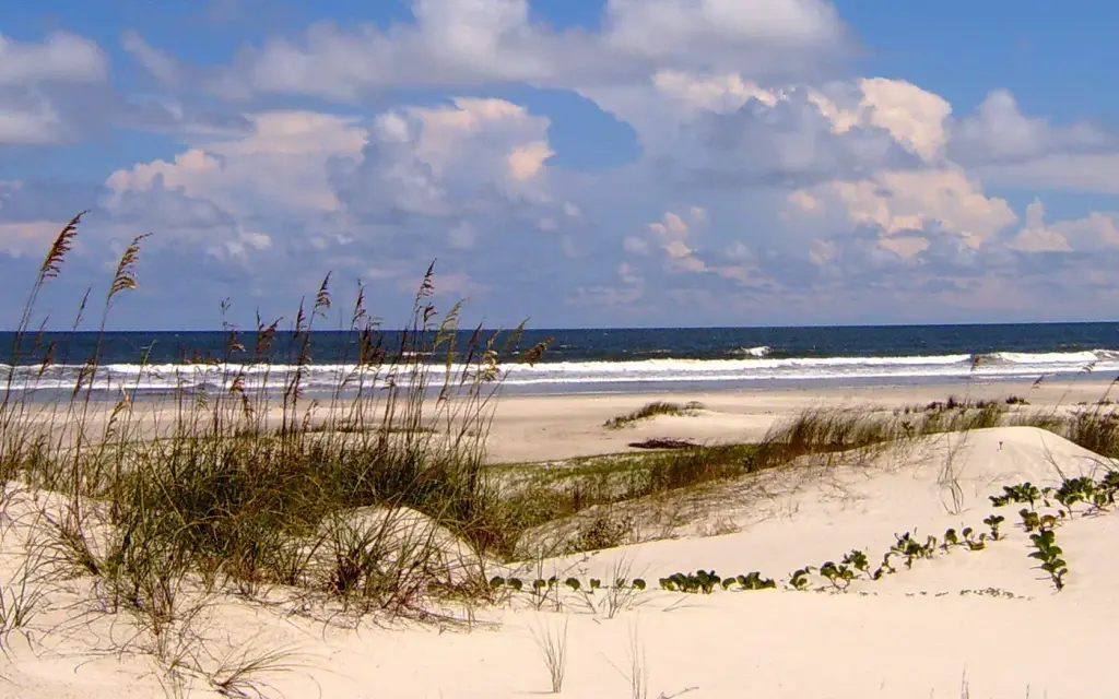 Cumberland Island National Seashore Camping Permits, a National Park Service campground