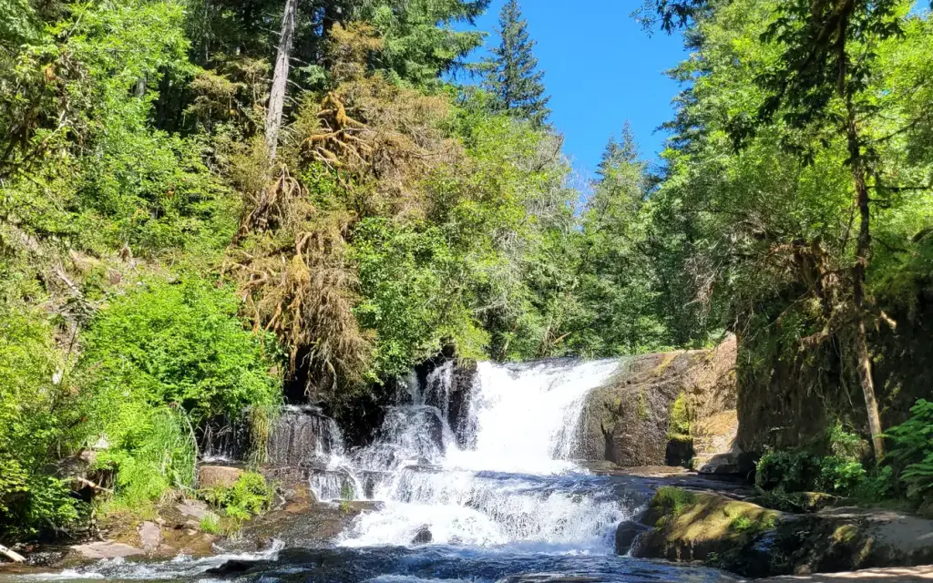 Alsea Falls Recreation Site (Campground), a BLM campground