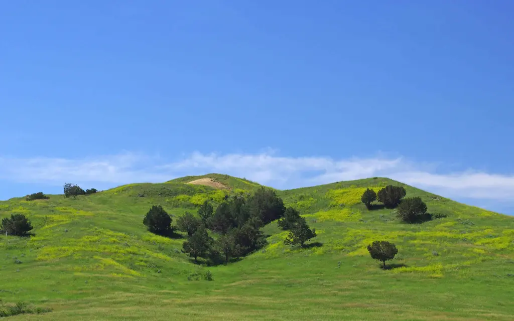 Sage Creek Campground, a National Park Service campground