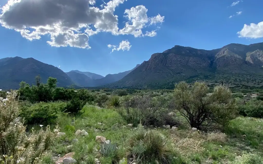 Pine Springs Campground, a National Park Service campground