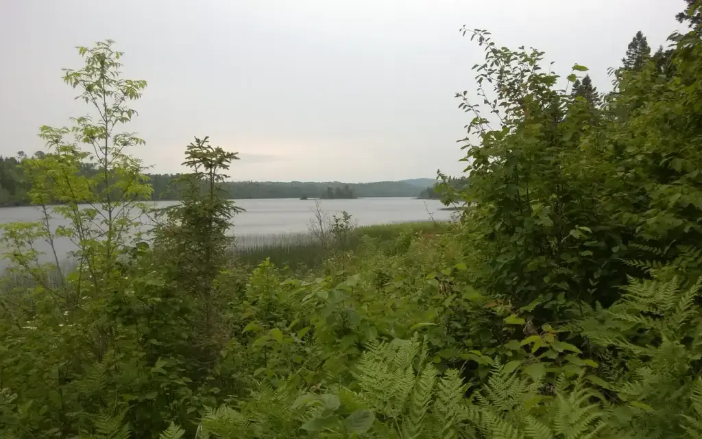 East Chickenbone Campground, a National Park Service campground