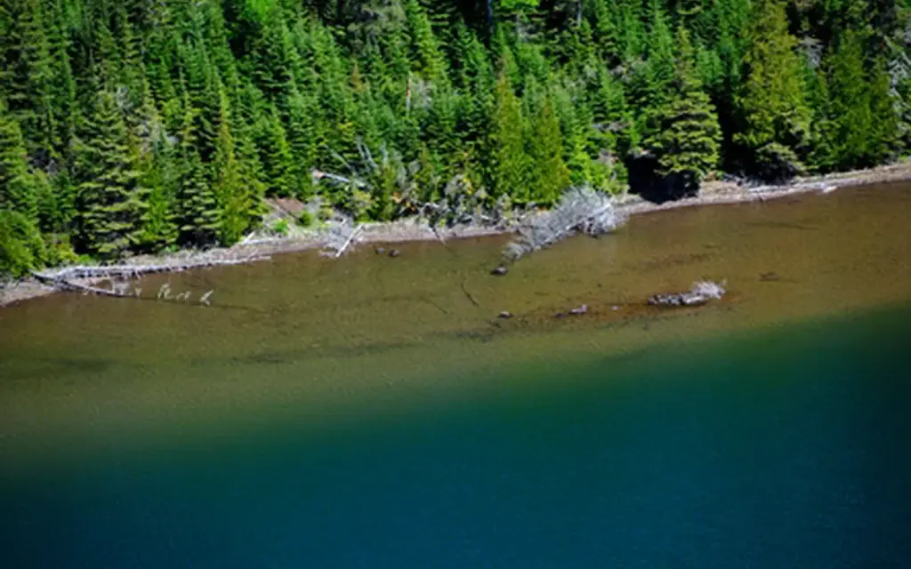 Duncan Bay Campground, a National Park Service campground