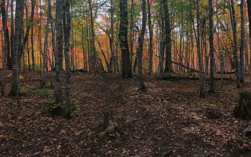 Island Mine Campground, a National Park Service campground