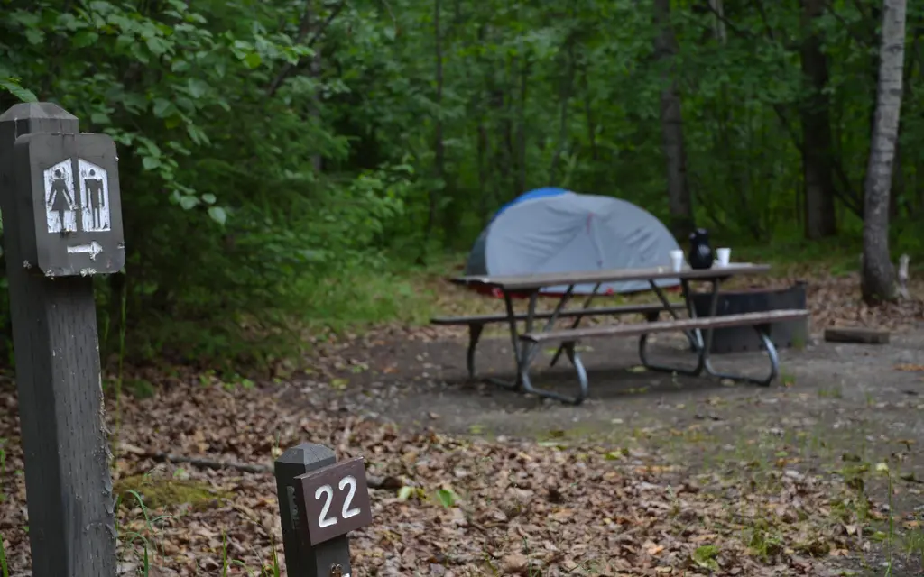 Dyea Campground, a National Park Service campground