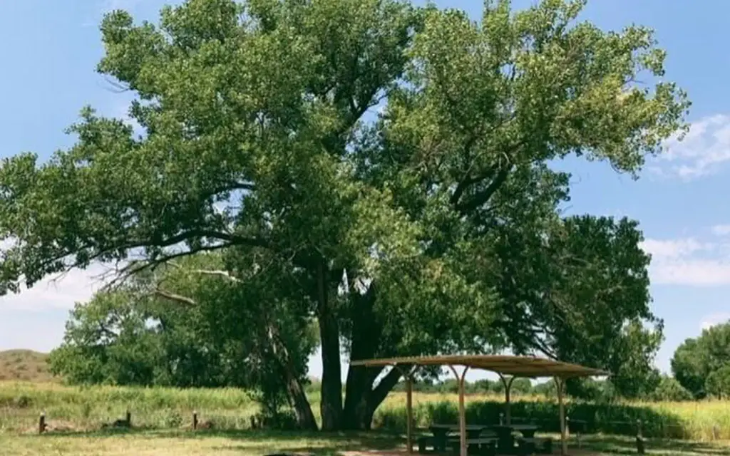 Plum Creek Campgrounds, a National Park Service campground