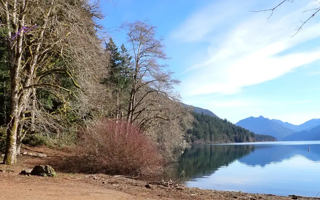 Fairholme Campground, a National Park Service campground