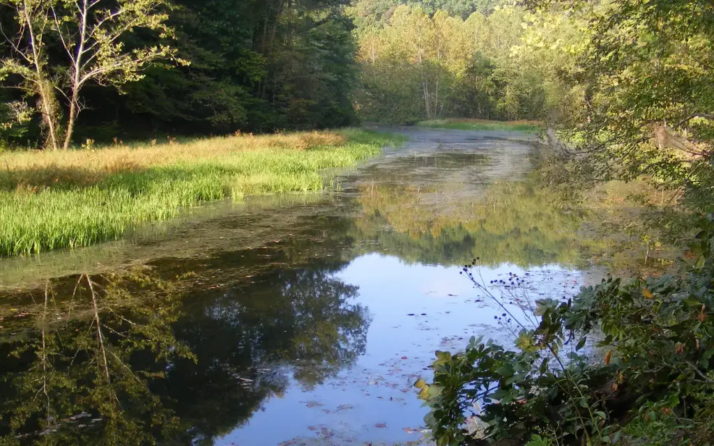 Chopawamsic Backcountry Camping Permits, a National Park Service campground