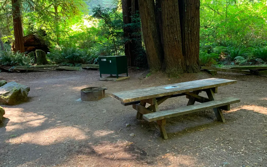 Mill Creek Campground - Del Norte Coast Redwoods State Park, a National Park Service campground