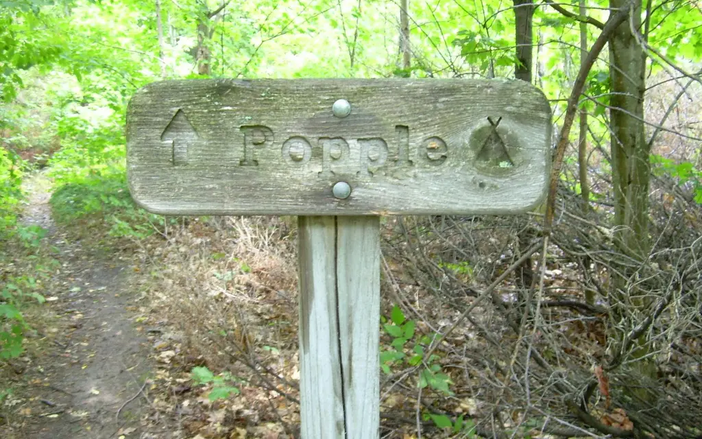 Popple Campground - South Manitou Island, a National Park Service campground