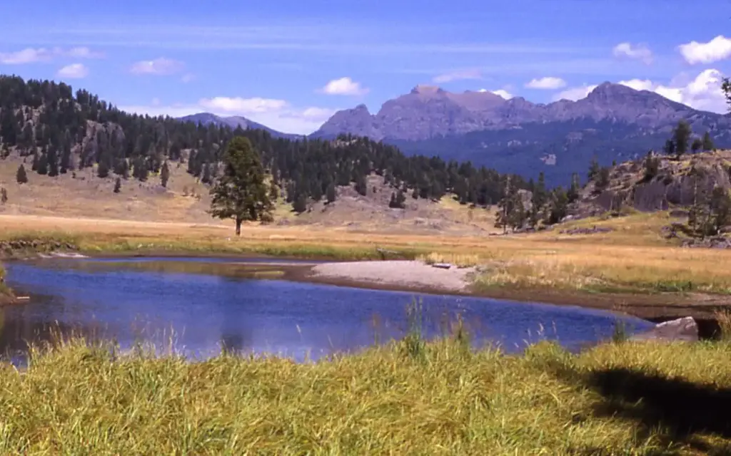 Slough Creek Campground, a National Park Service campground