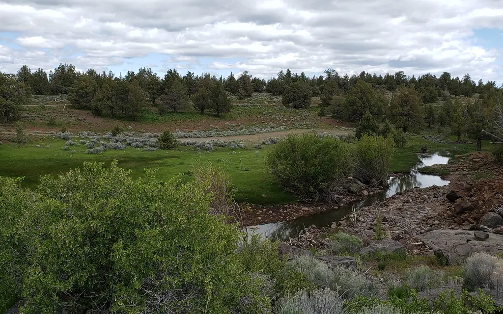 Duncan Reservoir Campground, a BLM campground