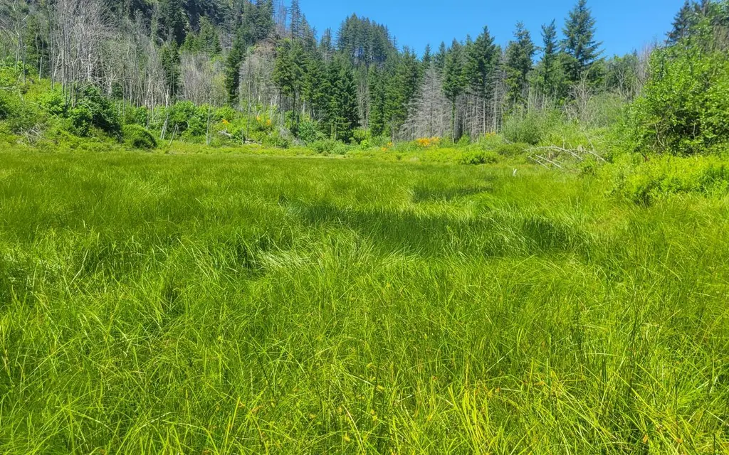 Aquila Vista Recreation Site, a BLM group camp