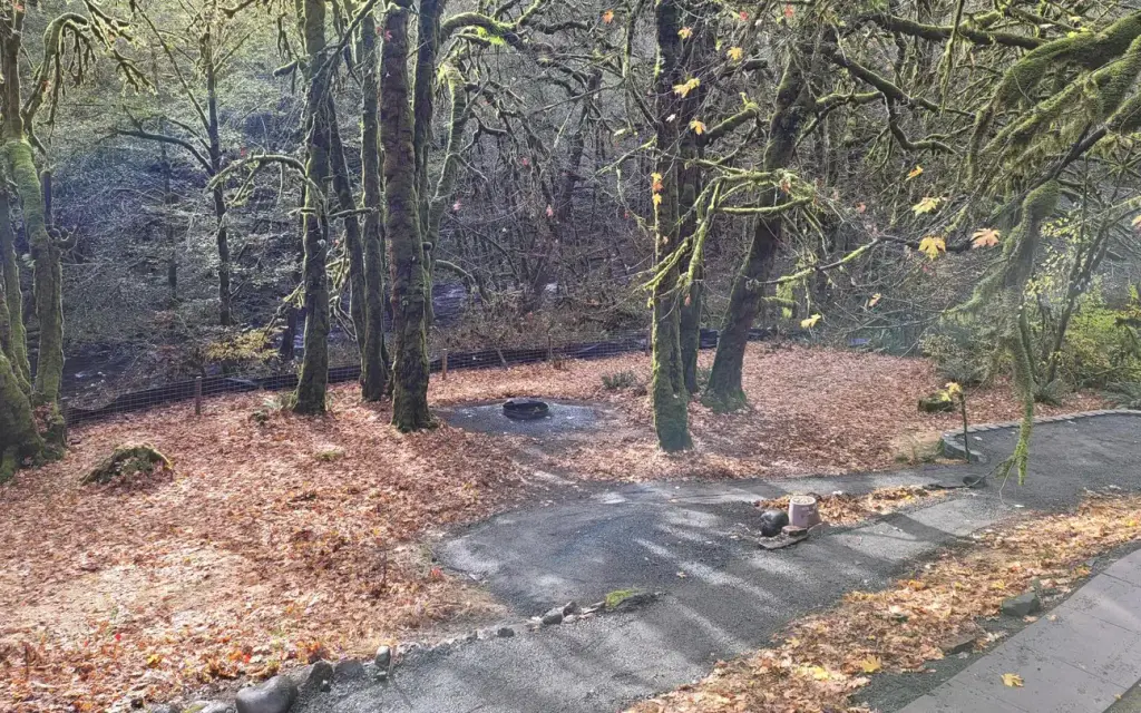 Elk Bend Recreation Site, a BLM group camp