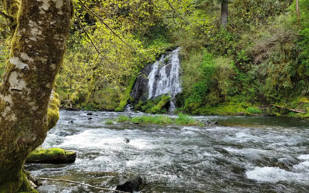 Alder Glen Recreation Site, a BLM campground