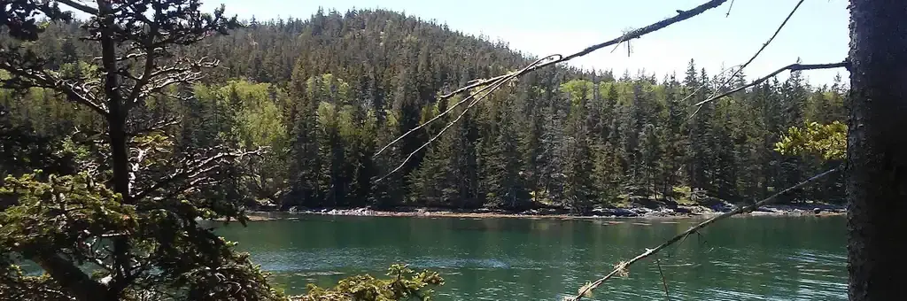 Duck Harbor Campground, a National Park Service cabin rental