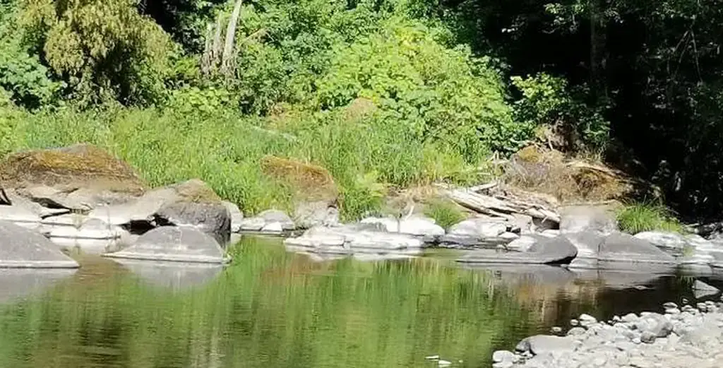 Rocky Bend Group Campground, a Forest Service group camp