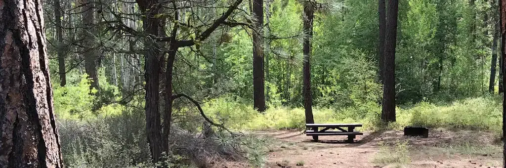 Indian Ford Campground, a Forest Service campground