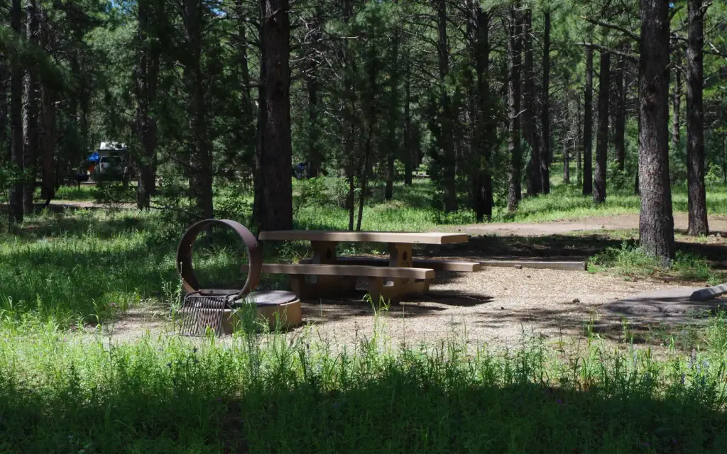 Potato Patch Campground, a Forest Service campground