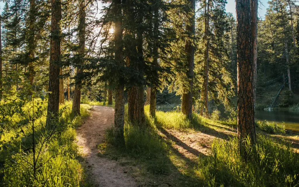 Dalton Lake Campground, a Forest Service campground