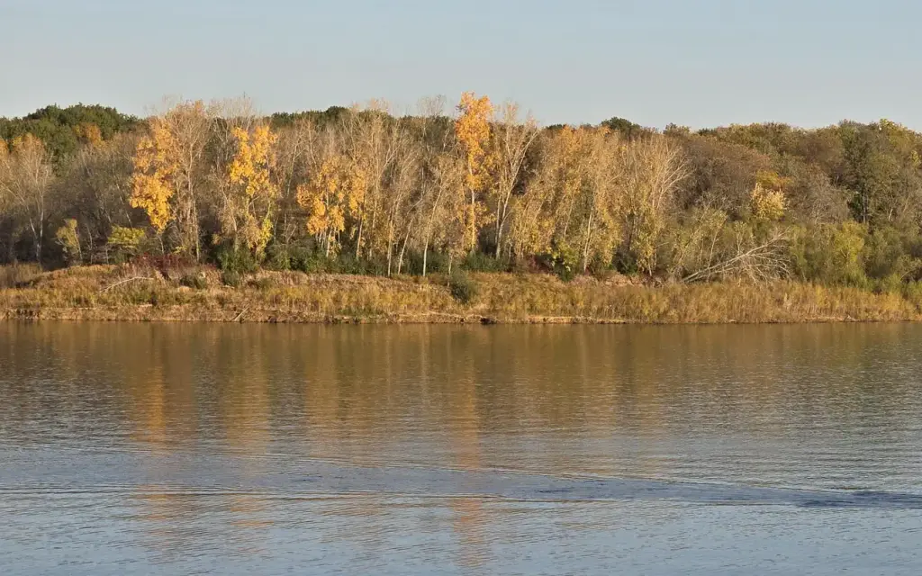 Cottonwood Campground, an Army Corps campground
