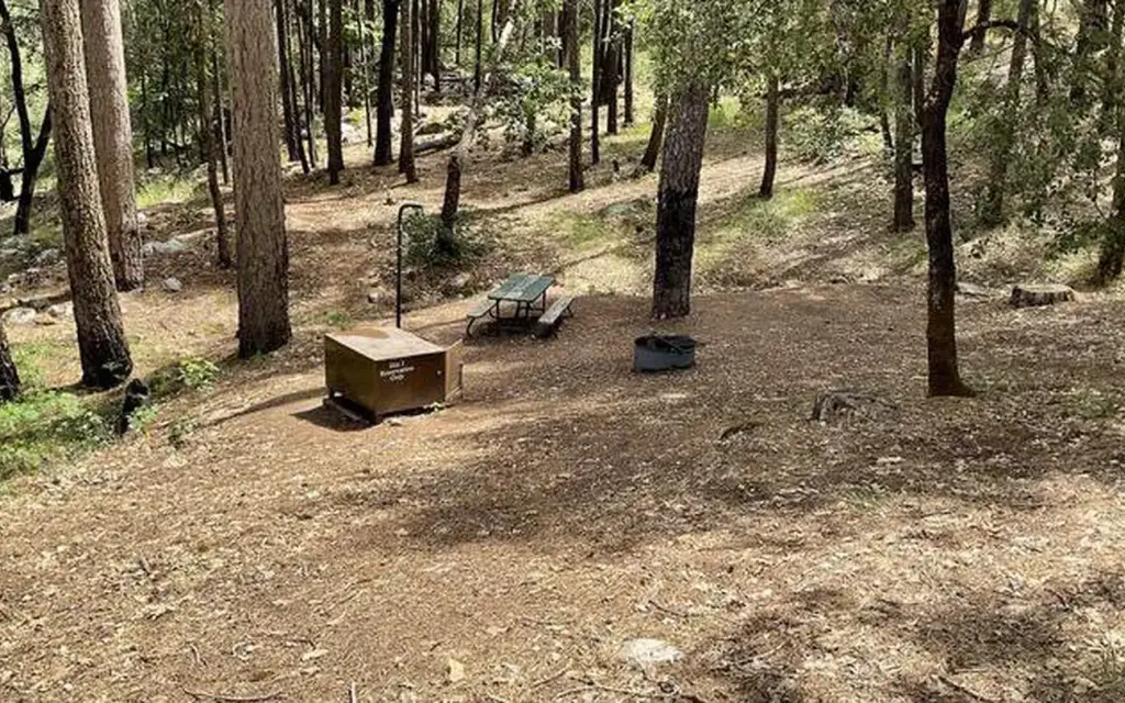 Sheep Camp Primitive Campground, a National Park Service campground