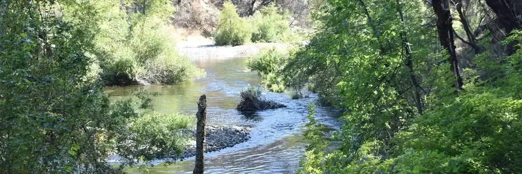 Peltier Bridge Primitive Campground, a National Park Service campground