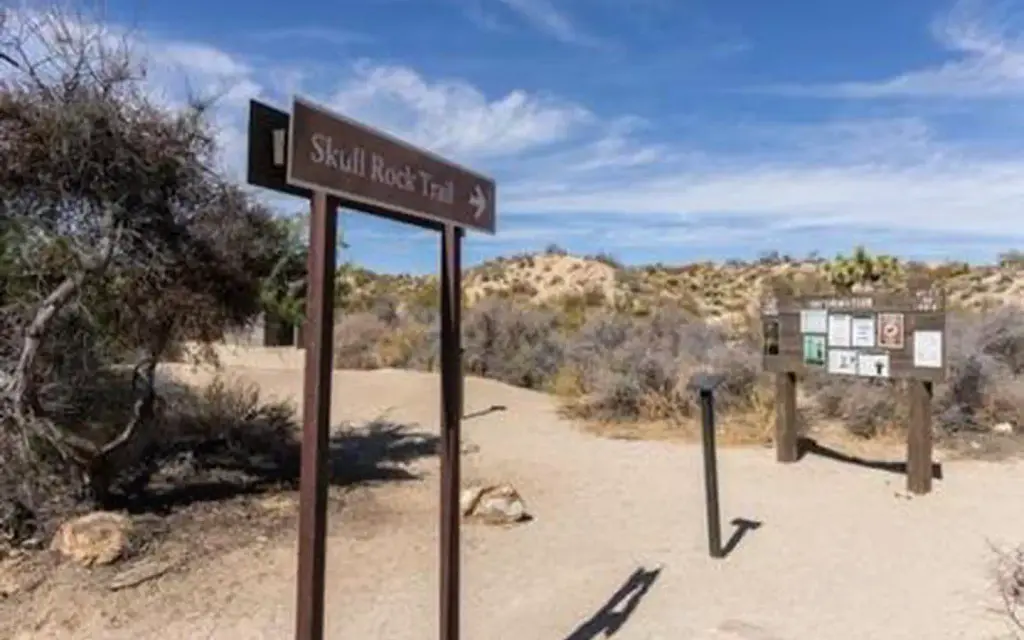 Jumbo Rocks Campground, a National Park Service campground