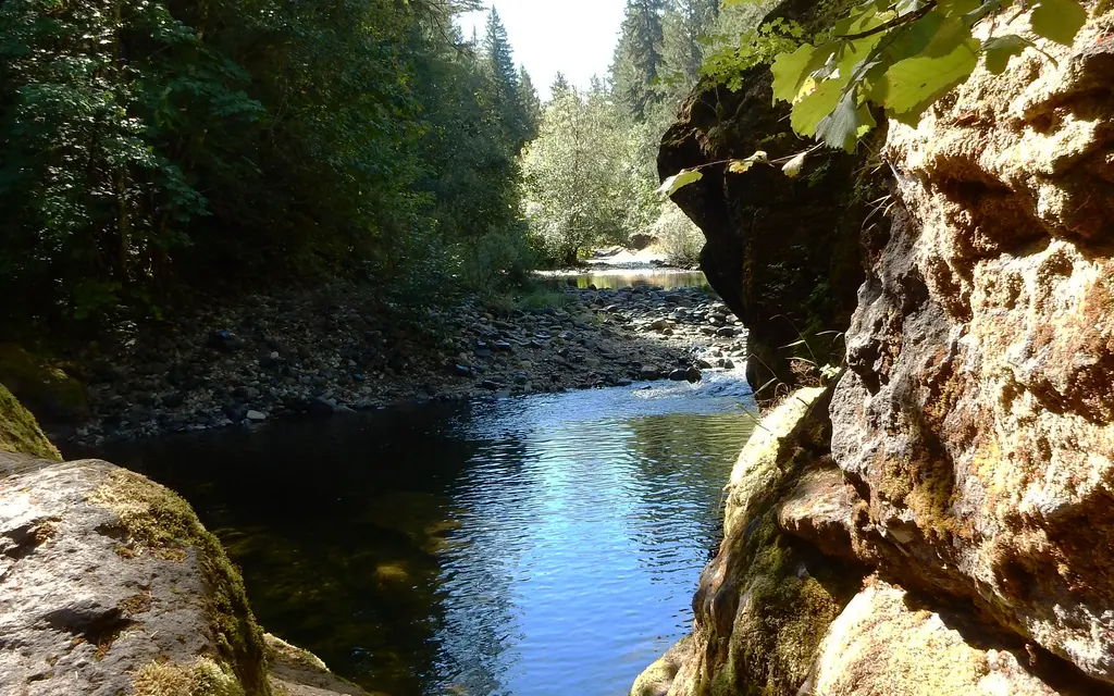 Sharps Creek Recreation Site, a BLM campground