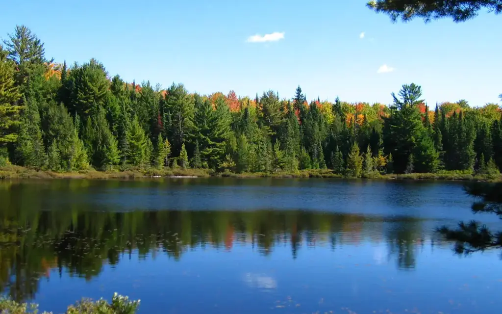 Lake Nineteen Campsite, a Forest Service campground