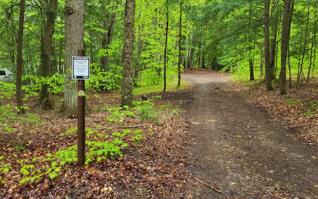 Minerva Lake Campsite, a Forest Service campground
