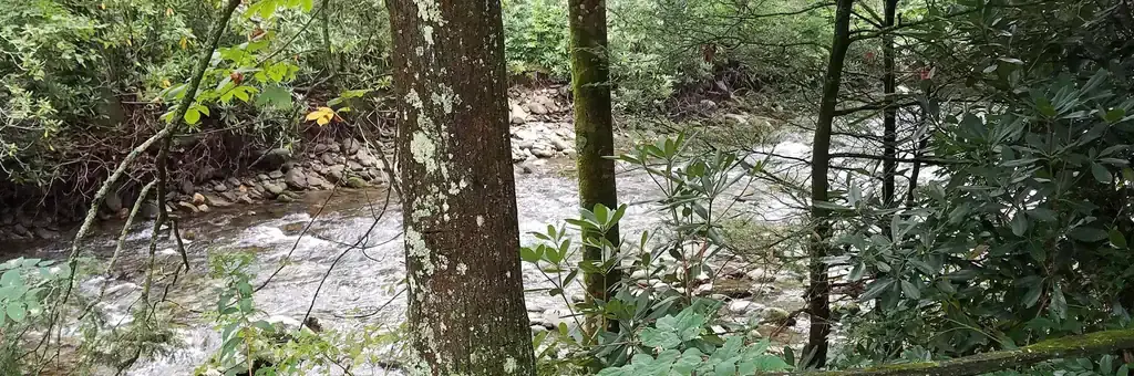 Black Mountain Campground, a Forest Service campground