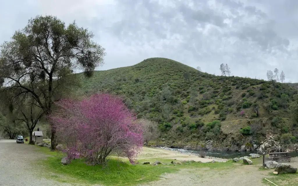 McCabe Flat Campground, a BLM campground