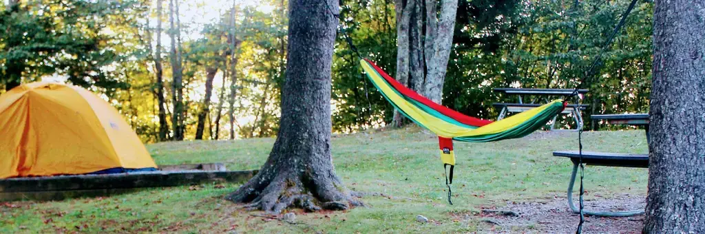 Balsam Mountain Campground, a National Park Service campground