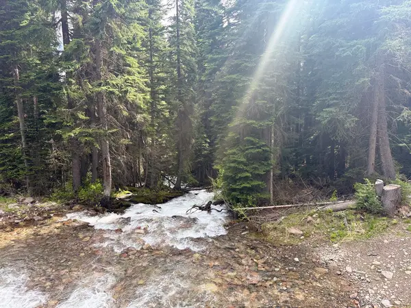 Canadian Off-Road Adventures, photo 1