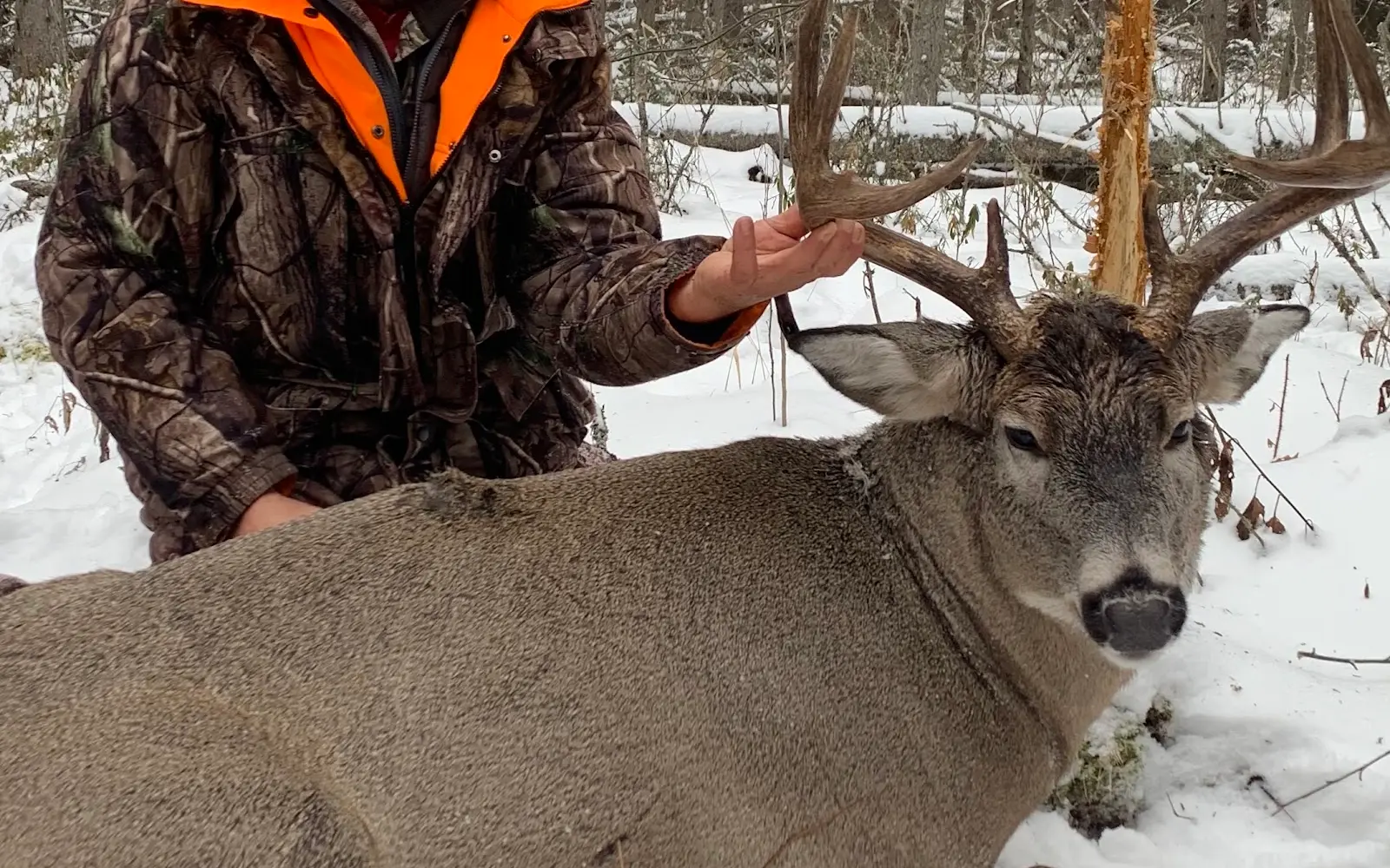 Canadian Whitetail Outfitters