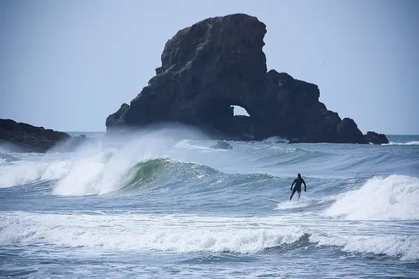 Cannon Beach Surf Lessons & Rentals, photo 1