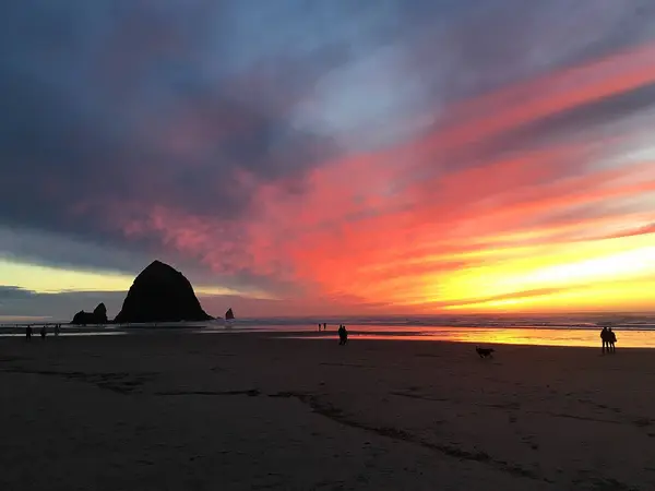 Cannon Beach Surf Lessons & Rentals, photo 3
